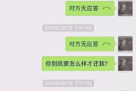 阳谷为什么选择专业追讨公司来处理您的债务纠纷？